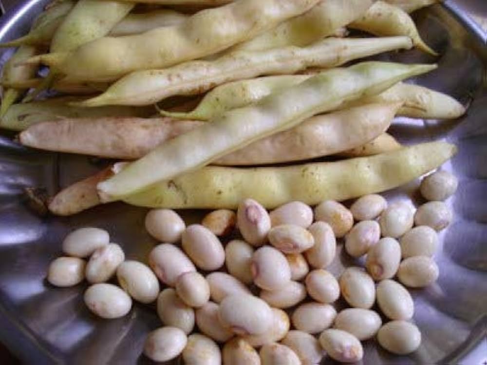 Butter Beans